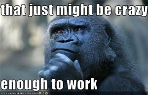 crazy work Photo of ape in contemplation