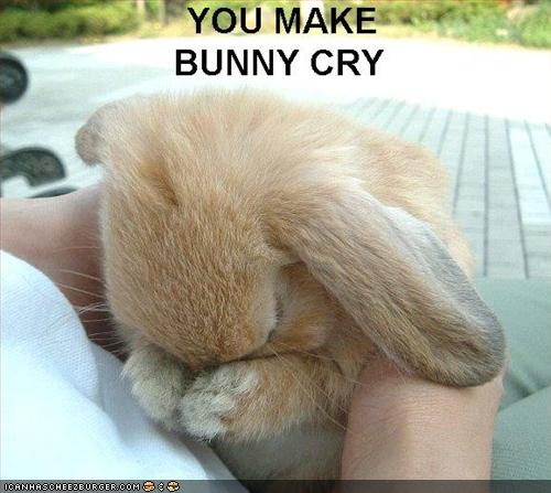 Photo of meme with a bunny covering his eyes with this paws, with the text: "You make bunny cry."