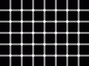 optical illusion optical illusion grid