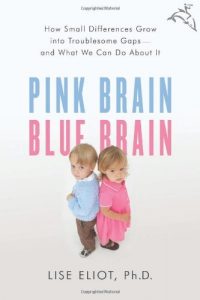 Cover for Pink Brain, Blue Brain