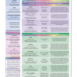 Your DEI Emotional Reference Guide